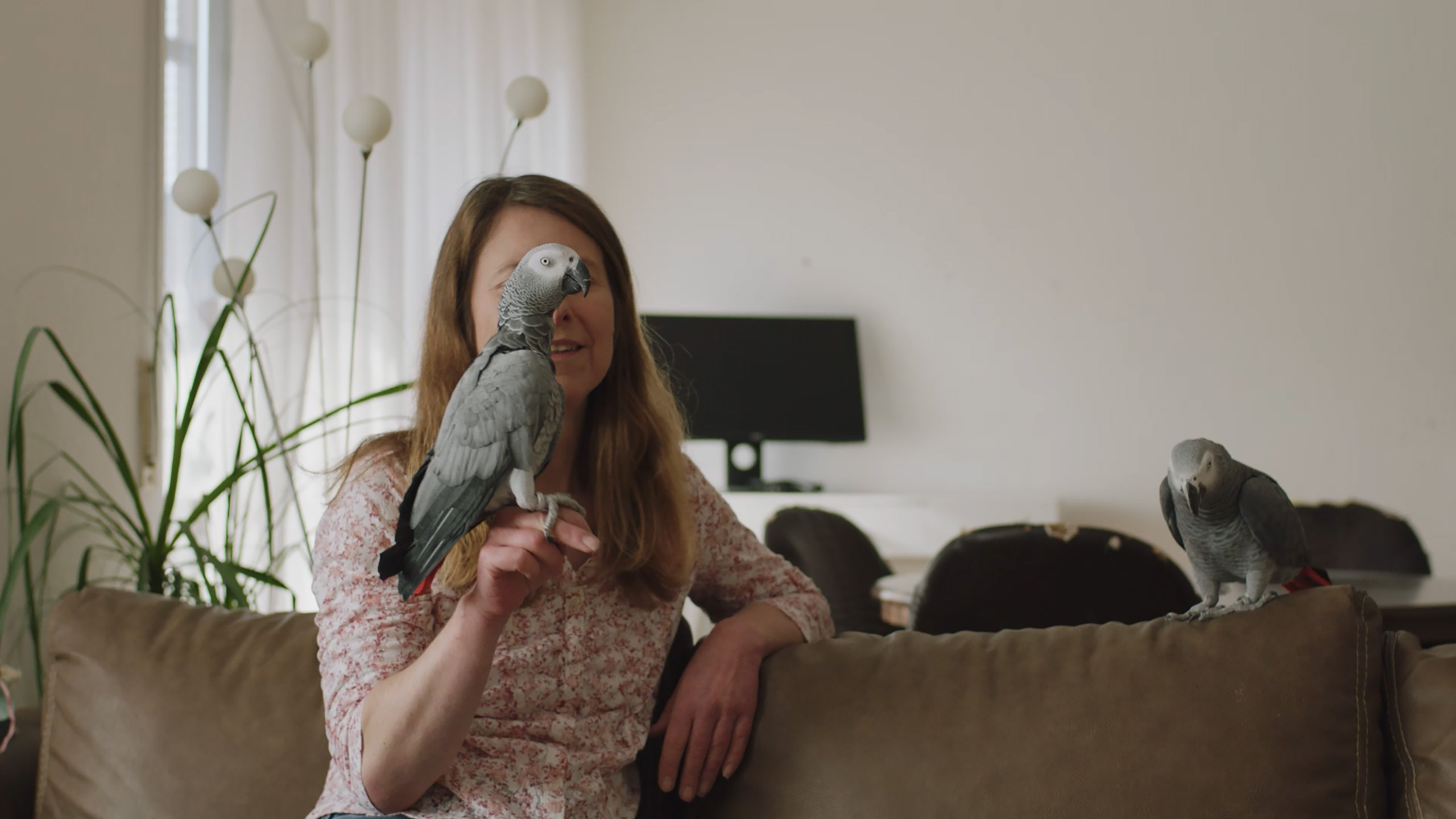 TERRY KRAATZ - AMAZONS OF STUTTGART