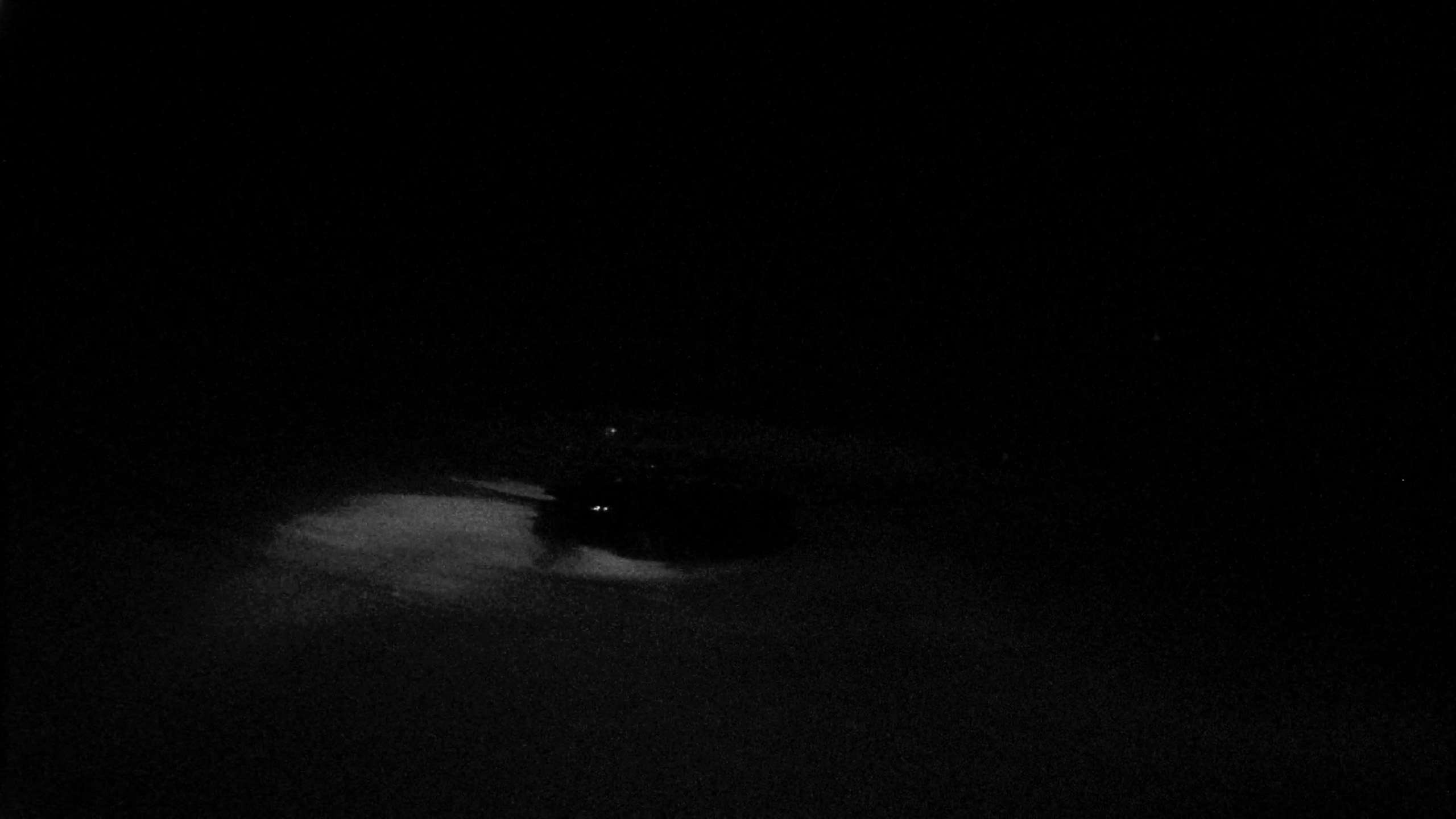 TERRY KRAATZ - DARKNESS